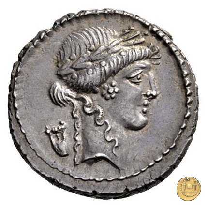 494/23 - denario P. Clodius M.f. 42 BC (Roma)