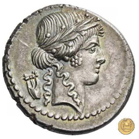 494/23 - denario P. Clodius M.f. 42 BC (Roma)