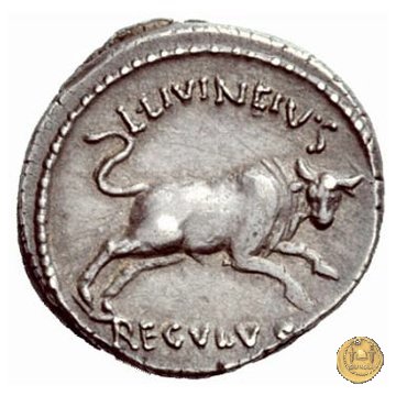 494/24 - denario L. Livineius Regulus 42 BC (Roma)