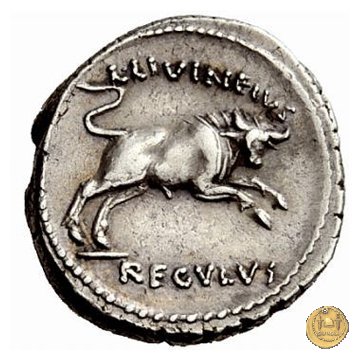 494/24 - denario L. Livineius Regulus 42 BC (Roma)