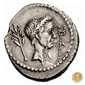 494/24 - denario L. Livineius Regulus 42 BC (Roma)