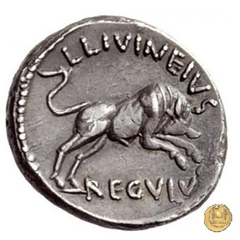 494/24 - denario L. Livineius Regulus 42 BC (Roma)