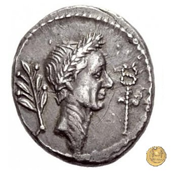 494/24 - denario L. Livineius Regulus 42 BC (Roma)