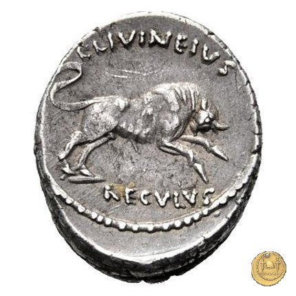 494/24 - denario L. Livineius Regulus 42 BC (Roma)