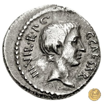 494/25 - denario C. Iulius Caesar Octavianus / L. Livineius Regulus 42 BC (Roma)