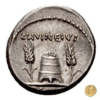 494/29 - denario L. Livineius Regulus 42 BC (Roma)