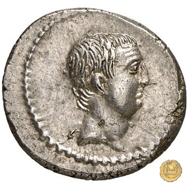 494/29 - denario L. Livineius Regulus 42 BC (Roma)