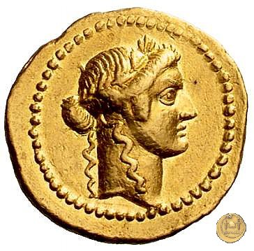 494/34 - aureo C. Vibius Varus 42 BC (Roma)