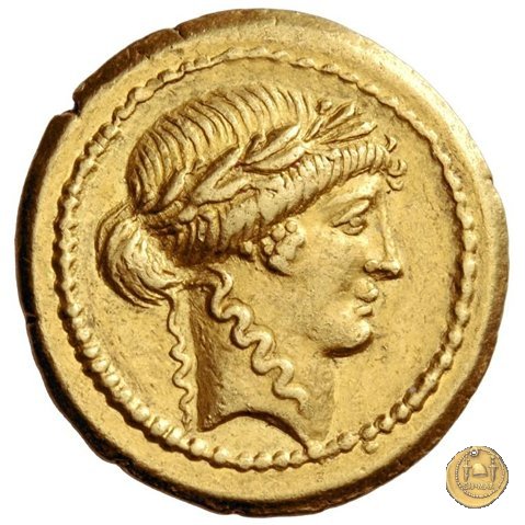 494/34 - aureo C. Vibius Varus 42 BC (Roma)