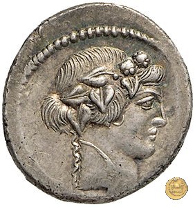 494/36 - denario C. Vibius Varus 42 BC (Roma)