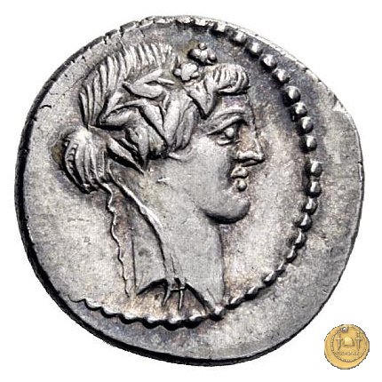 494/36 - denario C. Vibius Varus 42 BC (Roma)