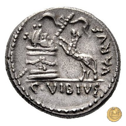 494/36 - denario C. Vibius Varus 42 BC (Roma)