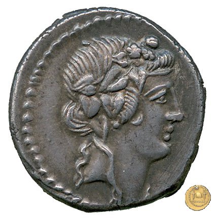 494/36 - denario C. Vibius Varus 42 BC (Roma)