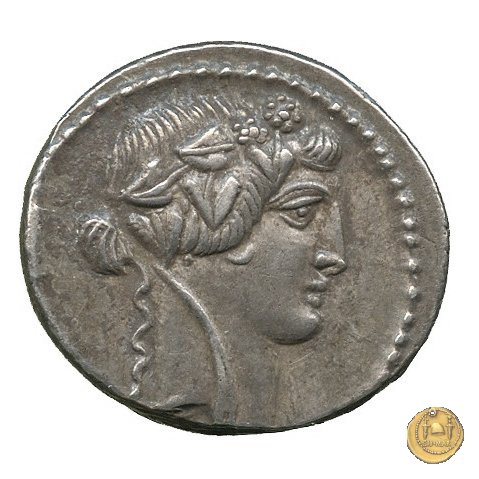 494/36 - denario C. Vibius Varus 42 BC (Roma)