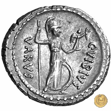 494/37 - denario C. Vibius Varus 42 BC (Roma)