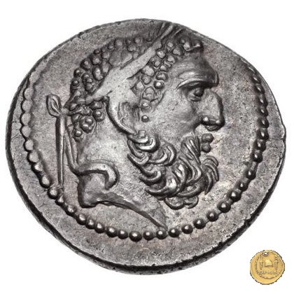 494/37 - denario C. Vibius Varus 42 BC (Roma)