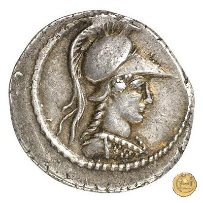 494/38 - denario C. Vibius Varus 42 BC (Roma)