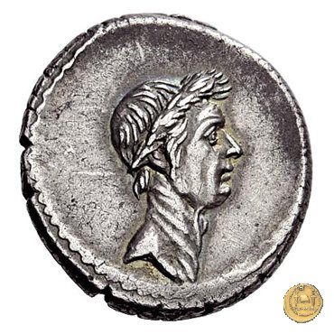 494/39 - denario L. Mussidius T.f. Longus 42 BC (Roma)