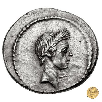 494/39 - denario L. Mussidius T.f. Longus 42 BC (Roma)