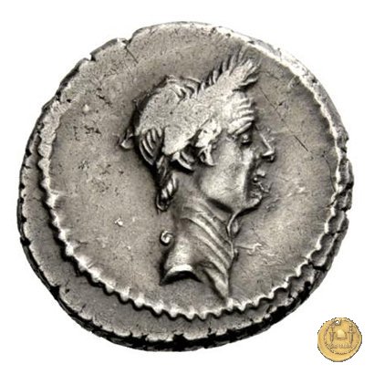 494/39 - denario L. Mussidius T.f. Longus 42 BC (Roma)