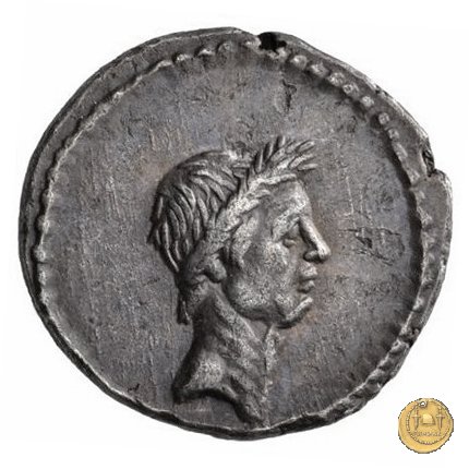 494/39 - denario L. Mussidius T.f. Longus 42 BC (Roma)