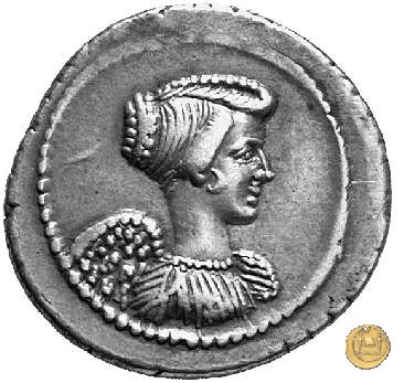 494/40 - denario L. Mussidius T.f. Longus 42 BC (Roma)