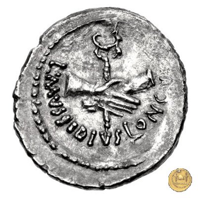 494/41 - denario L. Mussidius T.f. Longus 42 BC (Roma)