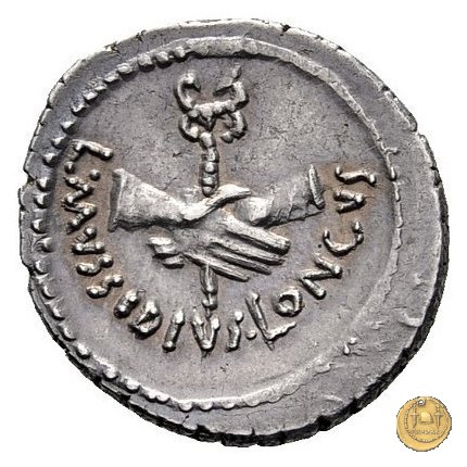 494/41 - denario L. Mussidius T.f. Longus 42 BC (Roma)