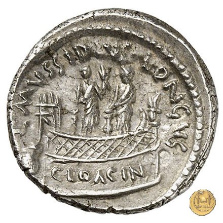 494/42 - denario L. Mussidius T.f. Longus 42 BC (Roma)