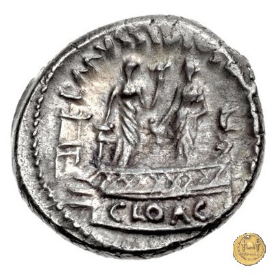 494/43 - denario L. Mussidius T.f. Longus 42 BC (Roma)