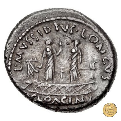 494/43 - denario L. Mussidius T.f. Longus 42 BC (Roma)