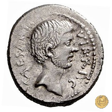 497/2 - denario C. Iulius Caesar Octavianus 42 a.C. (Itinerante con Octavianus)