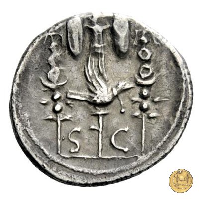 497/3 - denario C. Iulius Caesar Octavianus 42 BC (Itinerante con Octavianus)