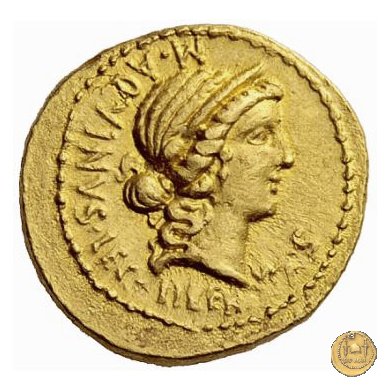 498/1 - aureo C. Cassius Longinus / M. Aquinus 43-42 BC (Itinerante con Cassius)