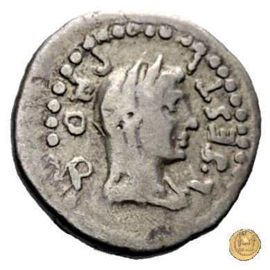 502/3 - quinario M. Iunius Brutus / L. Sestius 43-42 BC (Itinerante con Brutus)