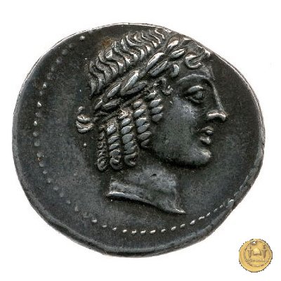 503/1 - denario M. Iunius Brutus 43-42 BC (Itinerante con Brutus)