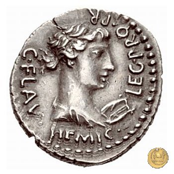 504/1 - denario M. Iunius Brutus / C. Flavius Hemic(illus) 43-42 BC (Itinerante con Brutus)