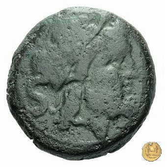 50/4 - semisse 209-208 BC (Roma)