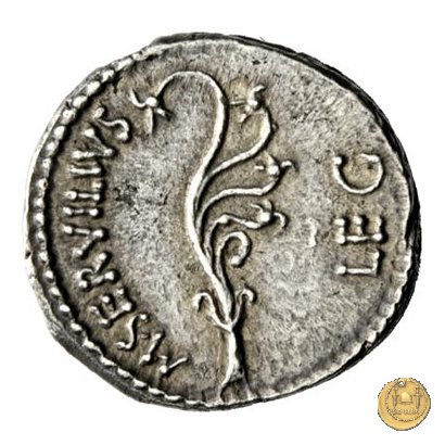 505/2 - denario C. Cassius Longinus / M. Servilius C.f. 43-42 BC (Itinerante con Cassius)