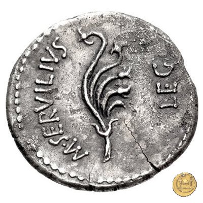 505/2 - denario C. Cassius Longinus / M. Servilius C.f. 43-42 BC (Itinerante con Cassius)