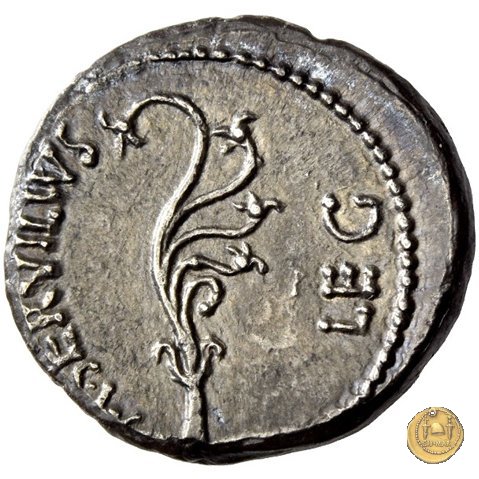 505/2 - denario C. Cassius Longinus / M. Servilius C.f. 43-42 BC (Itinerante con Cassius)