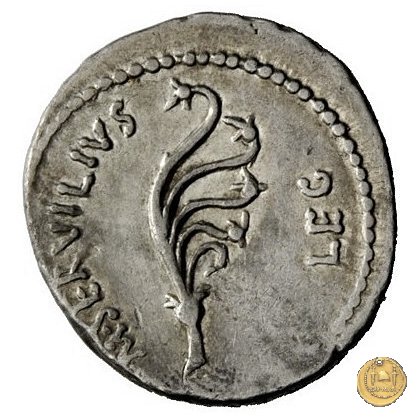 505/2 - denario C. Cassius Longinus / M. Servilius C.f. 43-42 BC (Itinerante con Cassius)