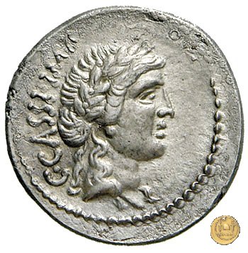 505/2 - denario C. Cassius Longinus / M. Servilius C.f. 43-42 BC (Itinerante con Cassius)