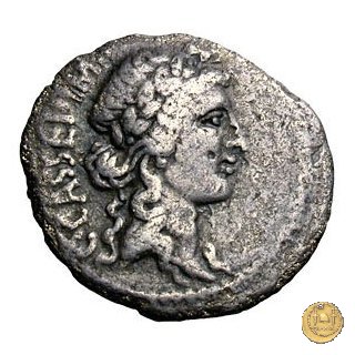 505/3 - denario C. Cassius Longinus / M. Servilius C.f. 43-42 BC (Itinerante con Cassius)