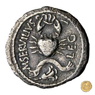 505/3 - denario C. Cassius Longinus / M. Servilius C.f. 43-42 BC (Itinerante con Cassius)