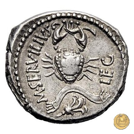 505/3 - denario C. Cassius Longinus / M. Servilius C.f. 43-42 BC (Itinerante con Cassius)