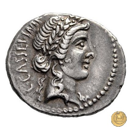 505/3 - denario C. Cassius Longinus / M. Servilius C.f. 43-42 BC (Itinerante con Cassius)