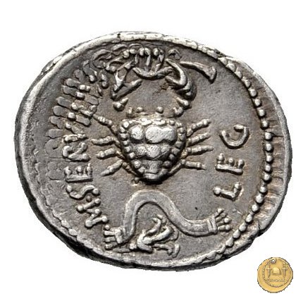 505/3 - denario C. Cassius Longinus / M. Servilius C.f. 43-42 BC (Itinerante con Cassius)