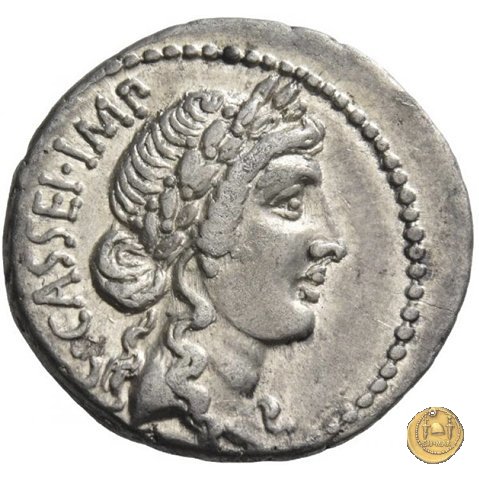 505/3 - denario C. Cassius Longinus / M. Servilius C.f. 43-42 a.C. (Itinerante con Cassius)