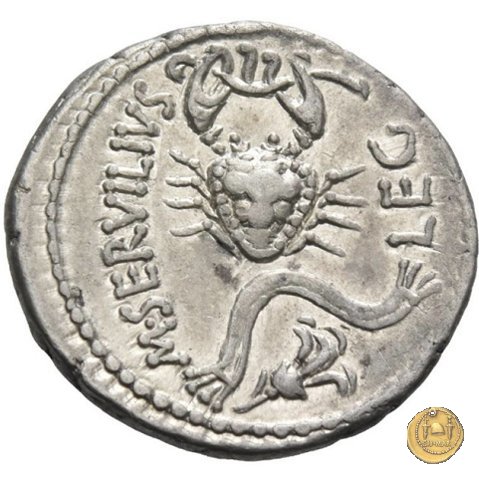 505/3 - denario C. Cassius Longinus / M. Servilius C.f. 43-42 BC (Itinerante con Cassius)